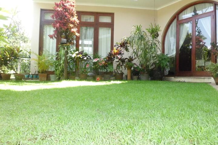 Property Grounds 50 of 56