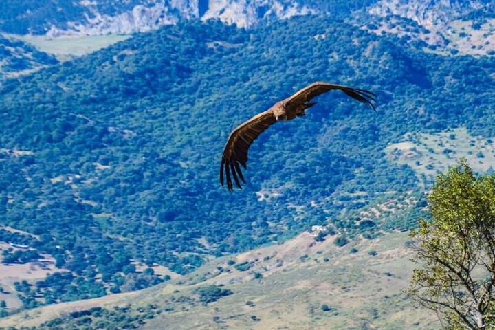 Hotel 119 of 132