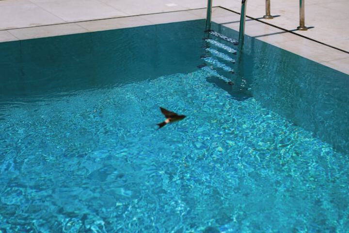 Pool 34 of 50