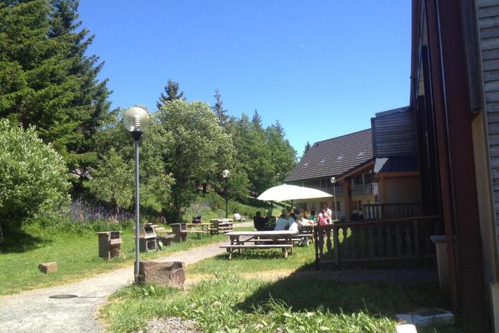 Photo 19