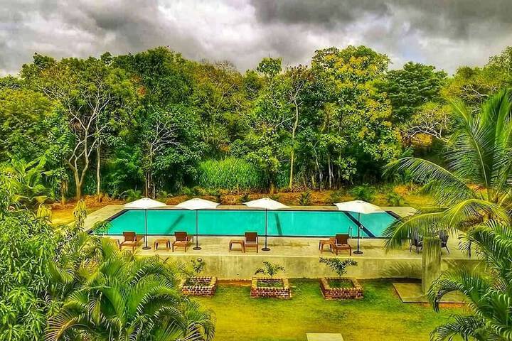Pool 54 of 74