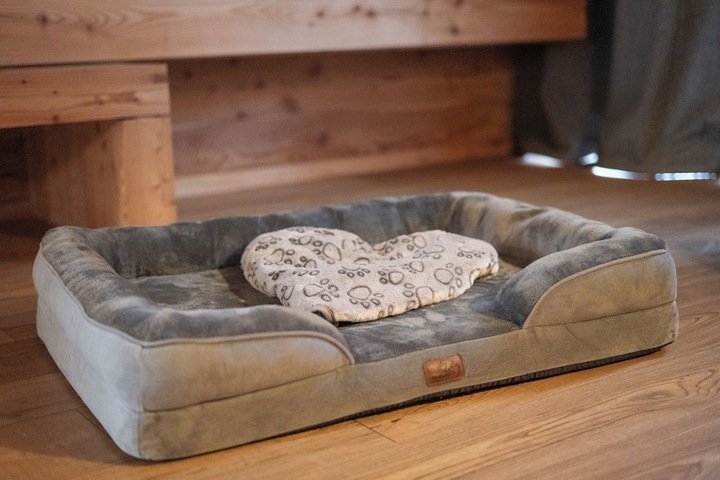 Pet Friendly 96 of 160