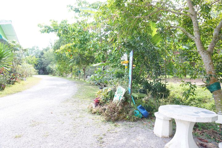 Property Grounds 44 of 55