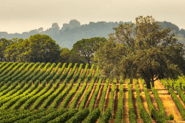 Winery