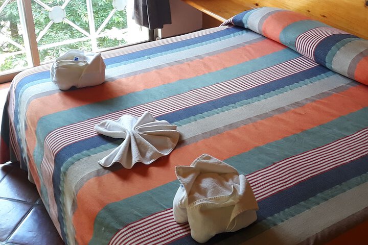 Room 12 of 52