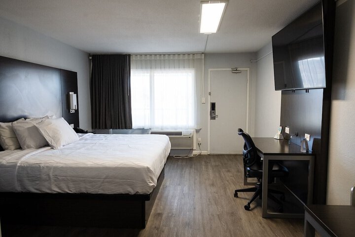1 King Bed Pet Friendly Accessible (50 of 90)