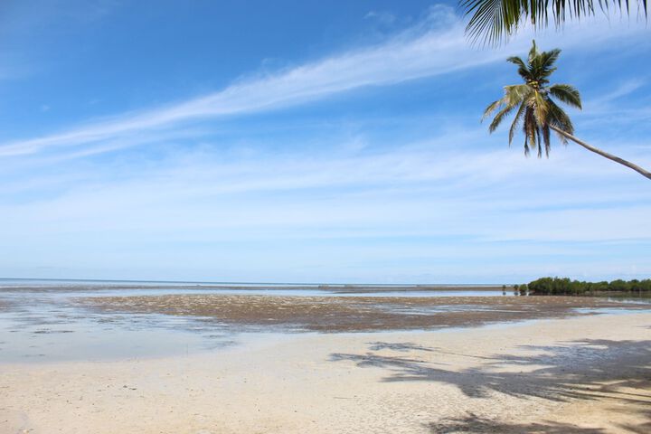 Beach 76 of 87