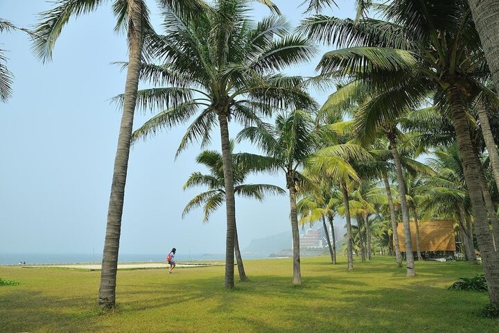 Beach 80 of 114