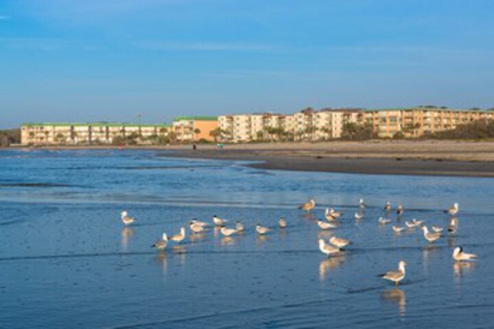 Beach 12 of 39