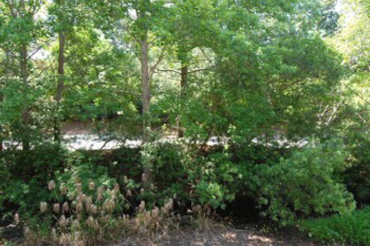 Property Grounds 22 of 26