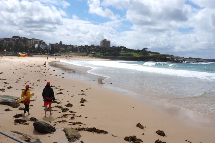 Property Grounds 87 of 103