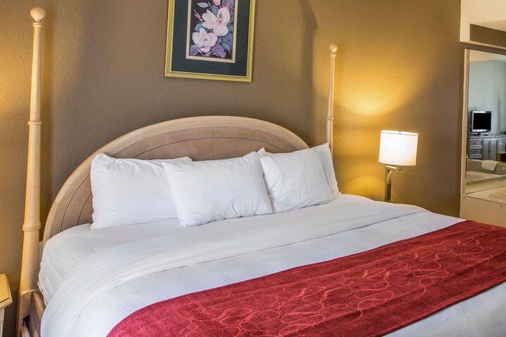 1 King Bed Suite (10 of 18)