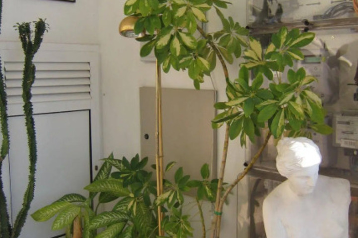 Photo 17