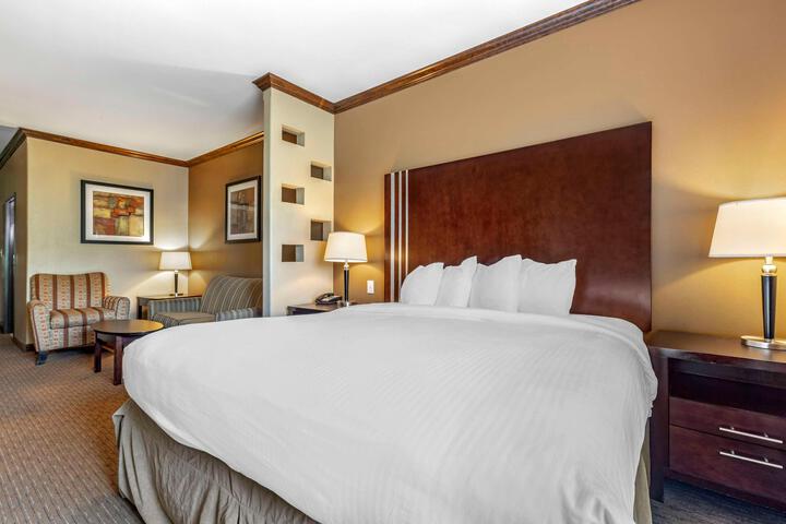 Accessible Suite 1 King Bed Accessible Communicatassist Roll in Shower Sofa Bed Breakfast (27 of 32)