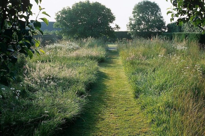 Property Grounds 56 of 66