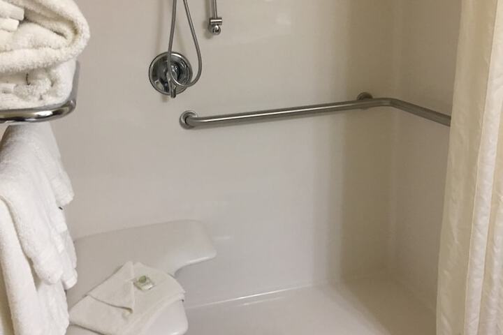 1 King Bed Accessible (9 of 15)