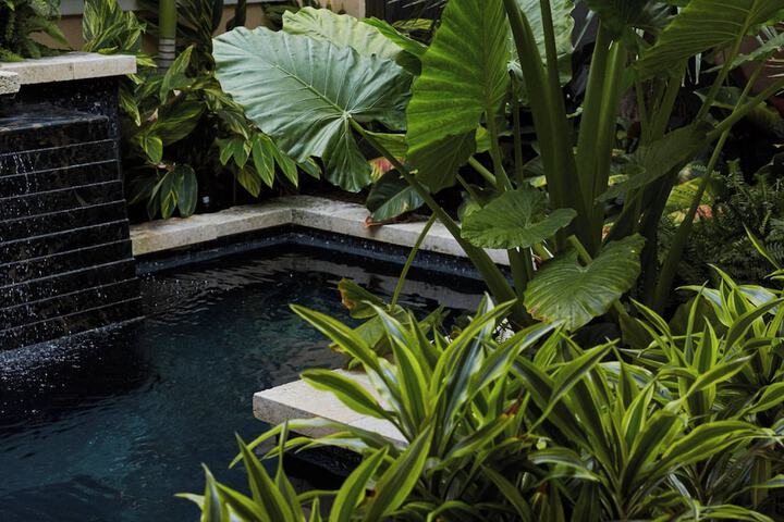 Property amenity