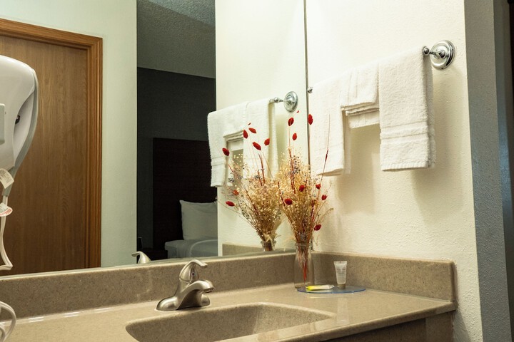 Bathroom sink