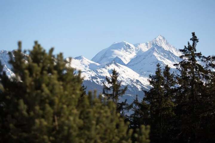 View from room