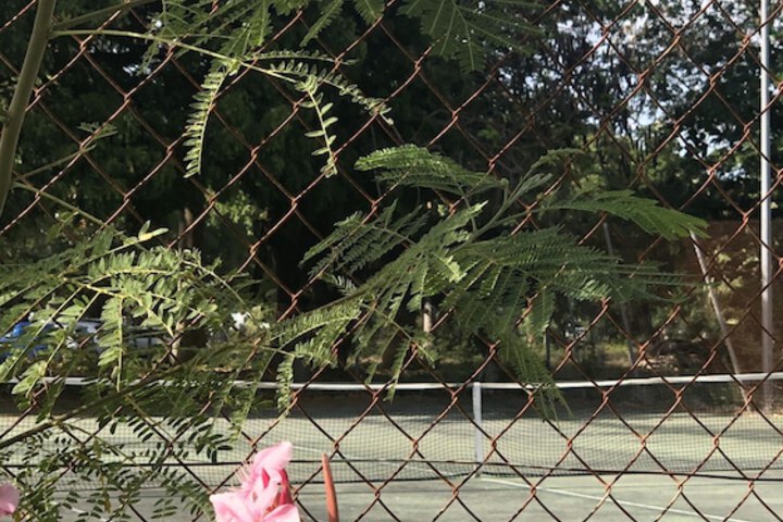 Tennis and Basketball Courts 16 of 28
