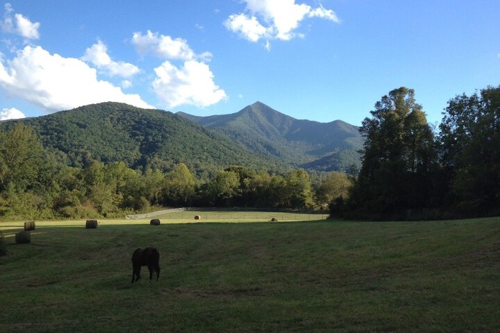 Pisgah View Ranch in Candler, NC