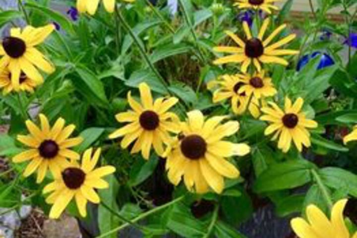 Hotel Exterior 16 of 49