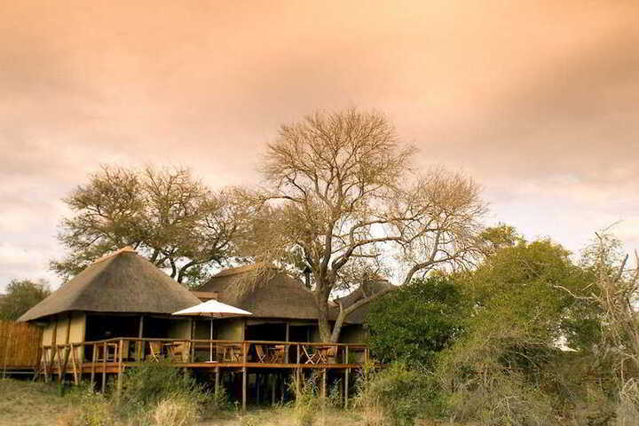 CAMP SHONGA