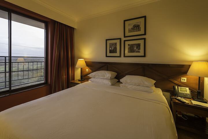 View from room
