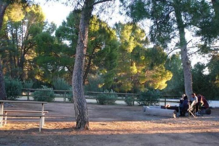 Property Grounds 12 of 29