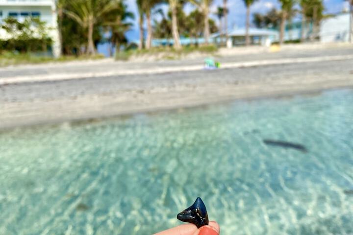 Beach 90 of 115
