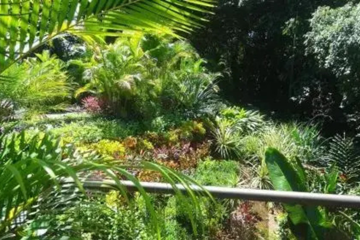 Quinta Heliconia