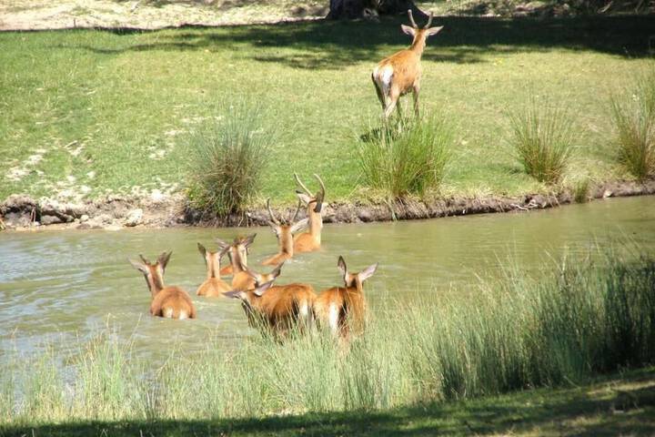 Property Grounds 21 of 24