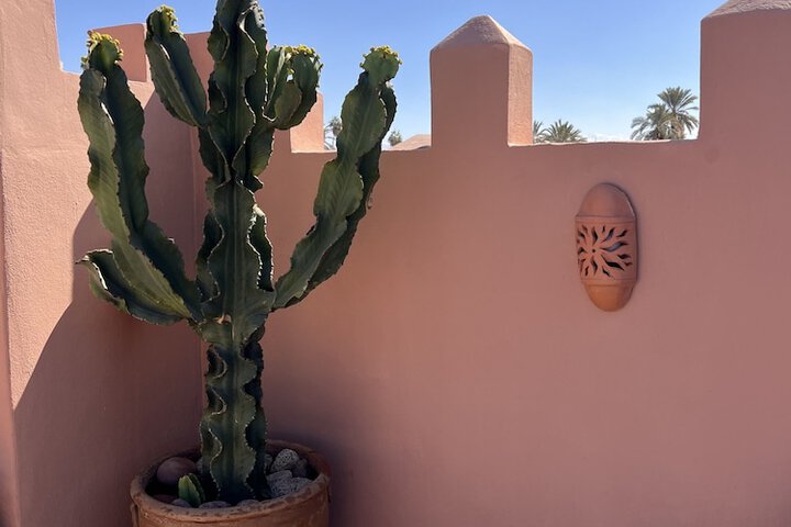 Terrace/Patio 203 of 204