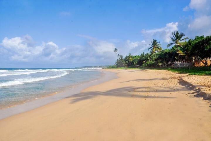 Beach 49 of 69