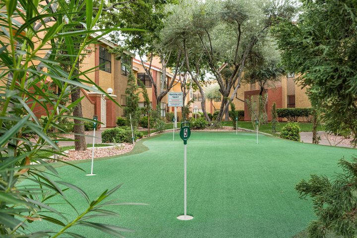 Mini-golf