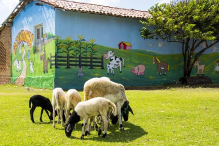 Children's area
