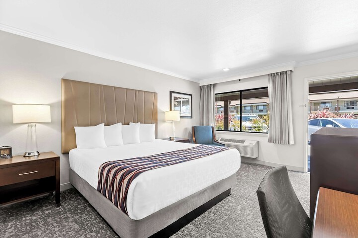 1 King Bed Larger Room, Microwave, Refrigerator High Speed Internet Accessible (11 of 18)