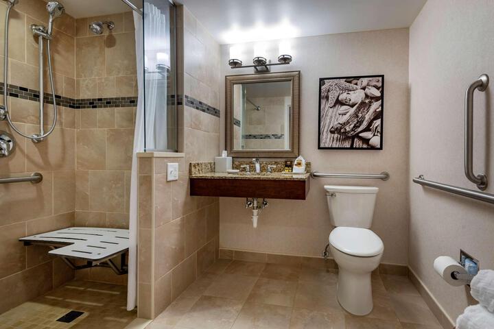 1 Queen Bed Mobility Accessible Communication Assistance Bathtub View Full Breakfast (16 of 20)