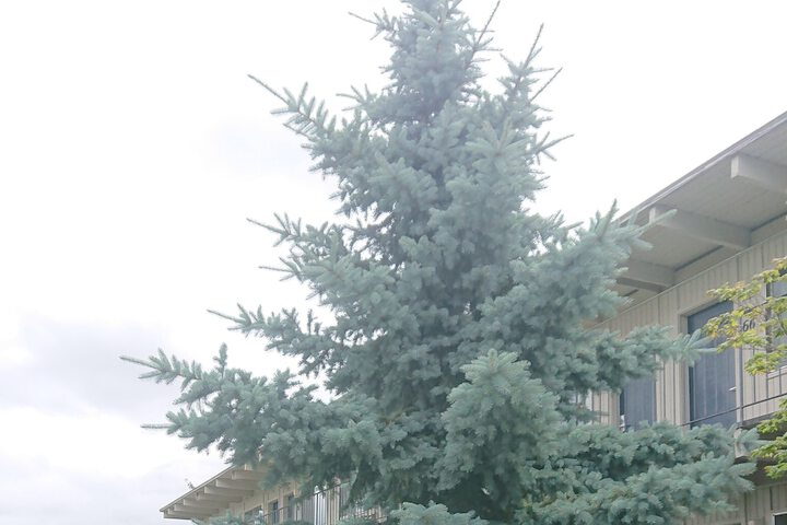 Hotel Exterior 141 of 145