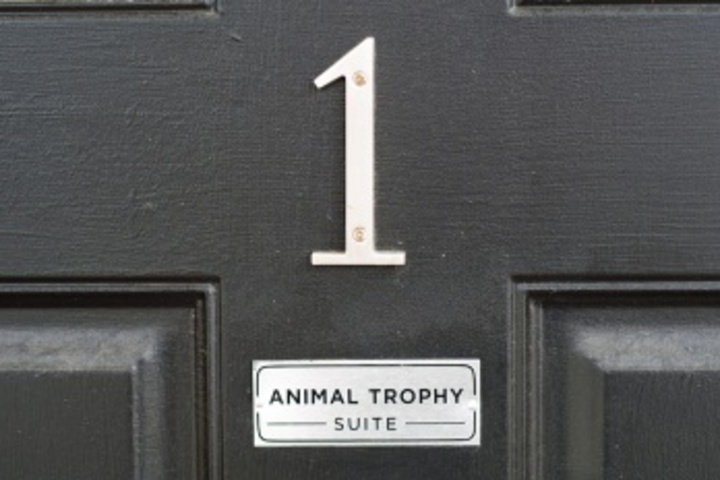 Room 538 of 671