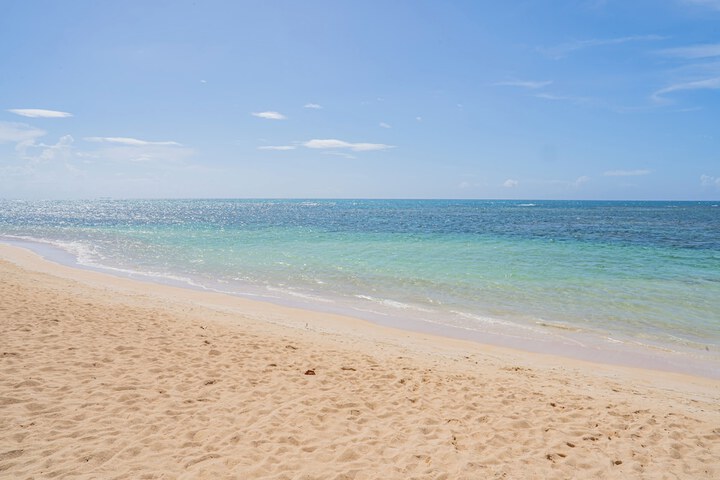 Beach 206 of 219