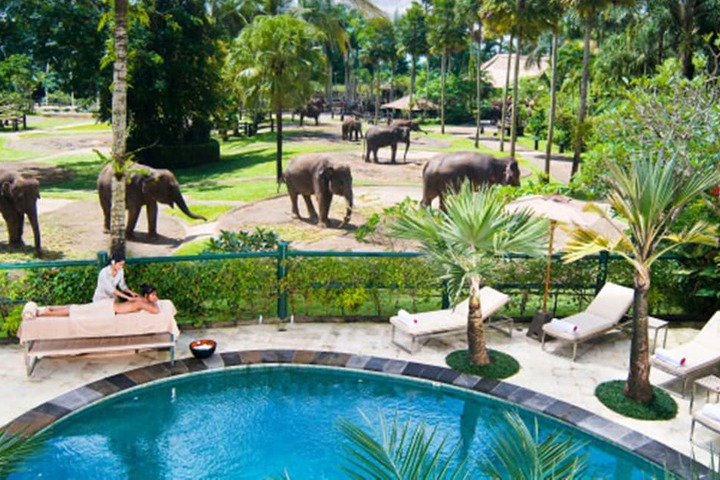 Pool Hotel