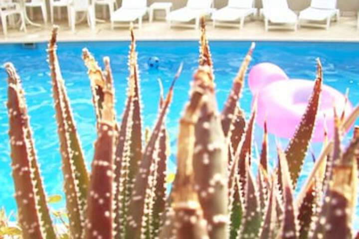 Spa and Wellness Pictures