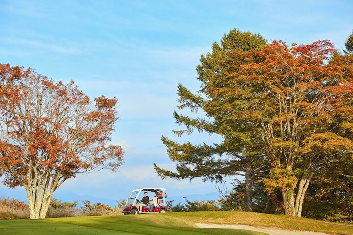 Golf 34 of 162