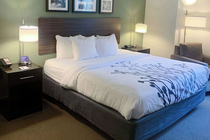 1 King Bed (6 of 11)
