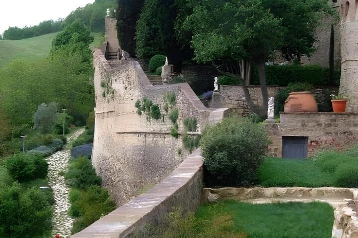 Photo 4