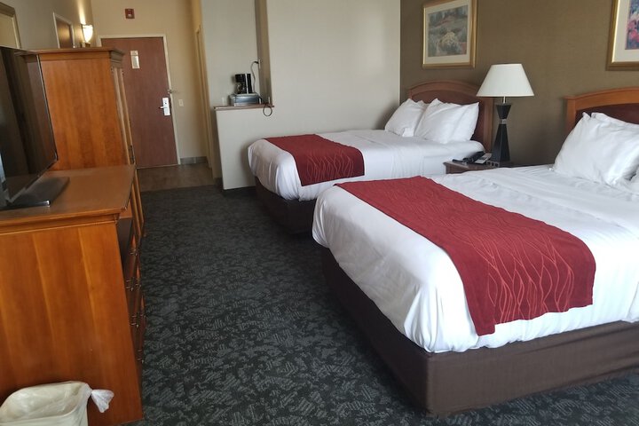 Room 6 of 54