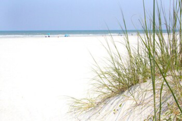 Beach 16 of 60