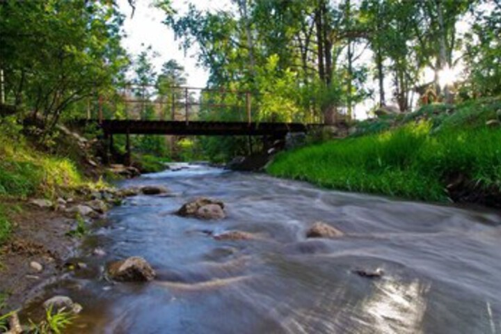 Property Grounds 21 of 30