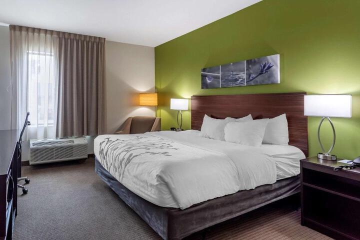 1 King Bed (3 of 13)